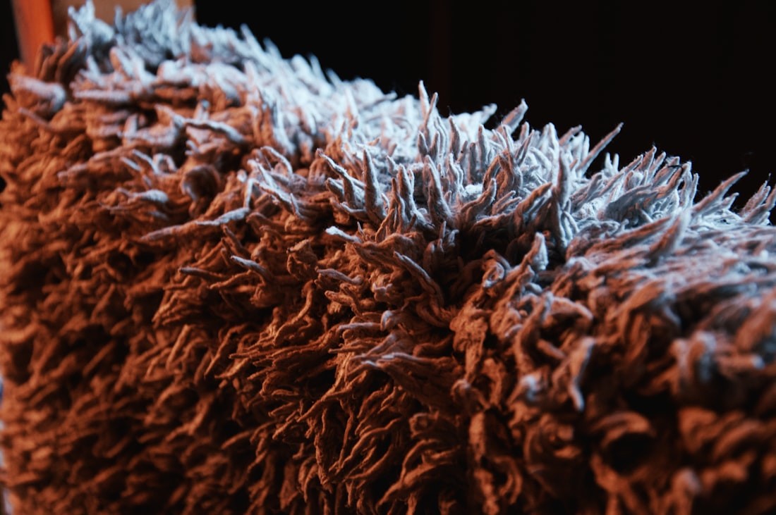 Carpet deep cleaning methods compared
